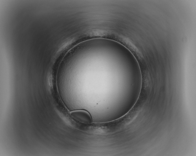 X0000113200683200909101112