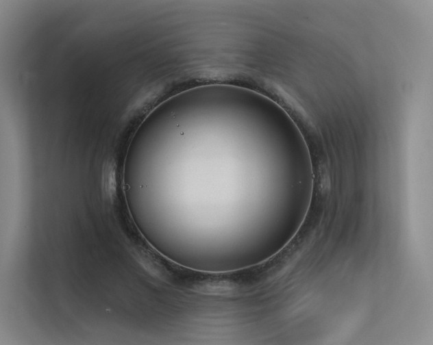 X0000113200685200909101112