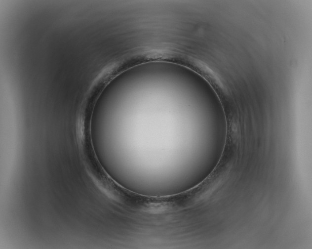 X0000113200686200909101112