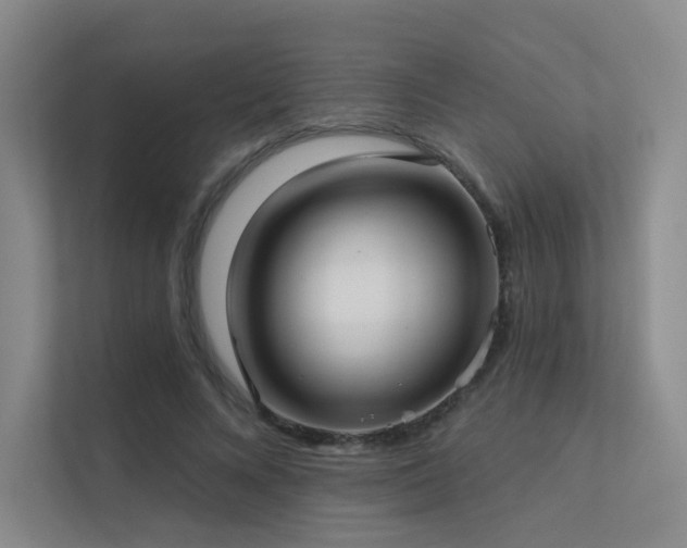 X0000113200688200909101112