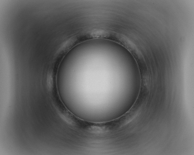 X0000113200690200909101112