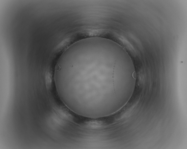 X0000113200691200909101112