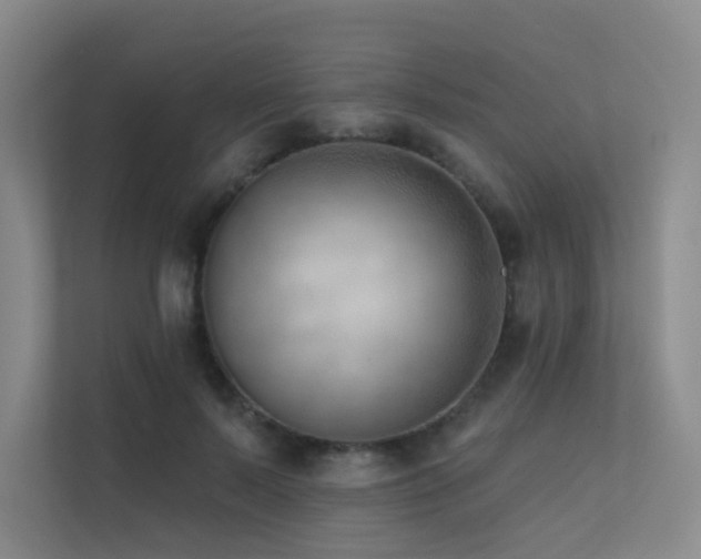 X0000113200695200909101112