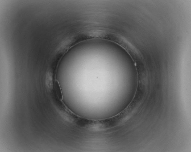 X0000113200696200909101112