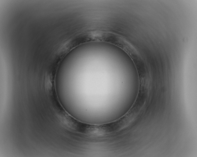 X0000113200702200909101112