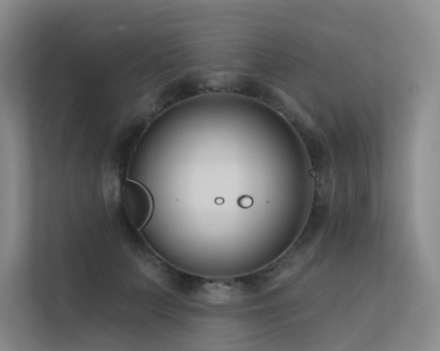 X0000113200703200909101112