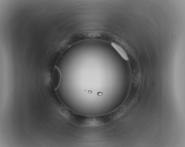 X0000113200704200909101112