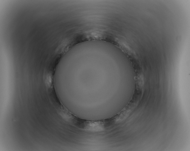 X0000113200709200909101112