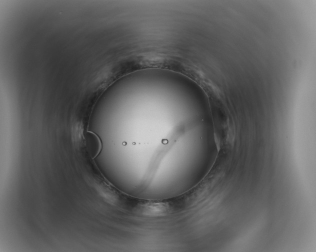 X0000113200711200909101112