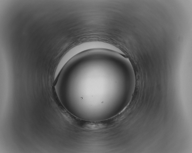 X0000113200712200909101112