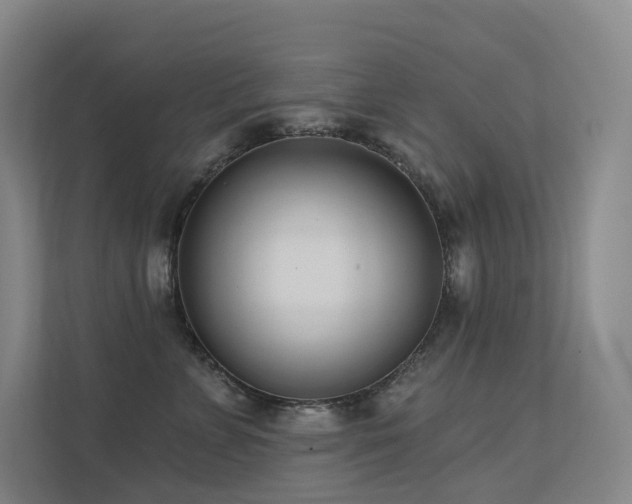 X0000113200715200909101112