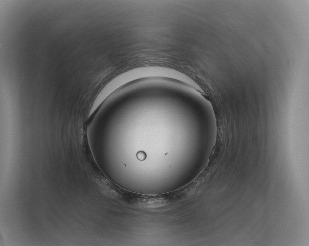 X0000113200716200909101112