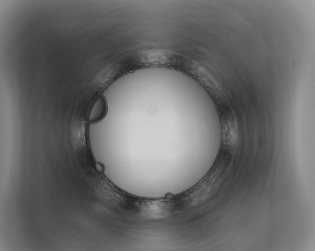 X0000113200717200909101112