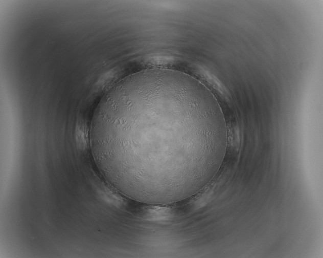 X0000113200718200909101112