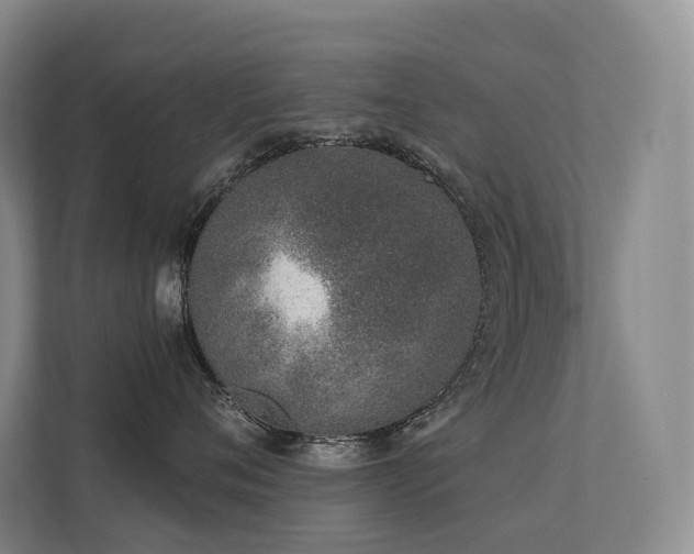 X0000113200720200909101112