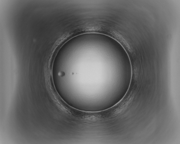 X0000113200721200909101111