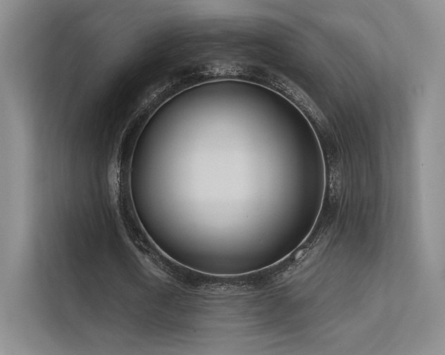 X0000113200722200909101111