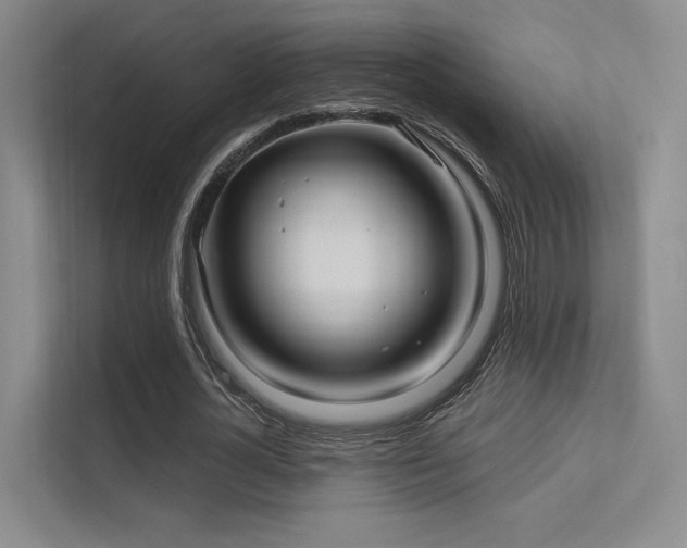 X0000113200724200909101111