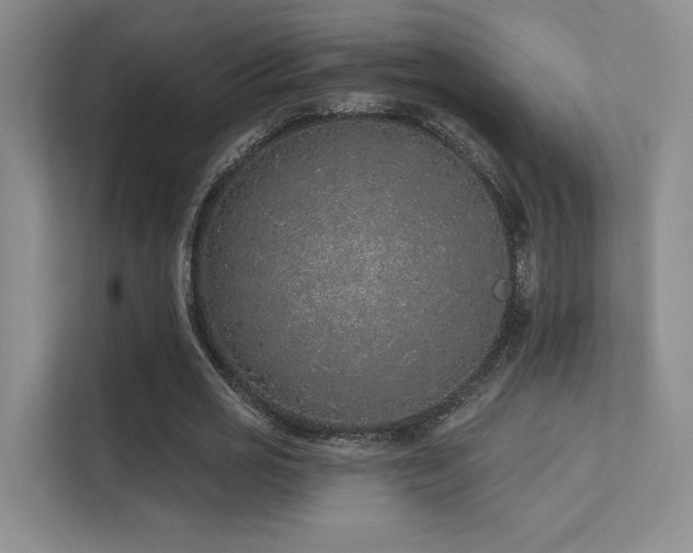 X0000113200725200909101111