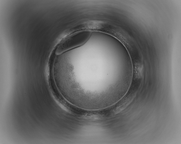 X0000113200726200909101111