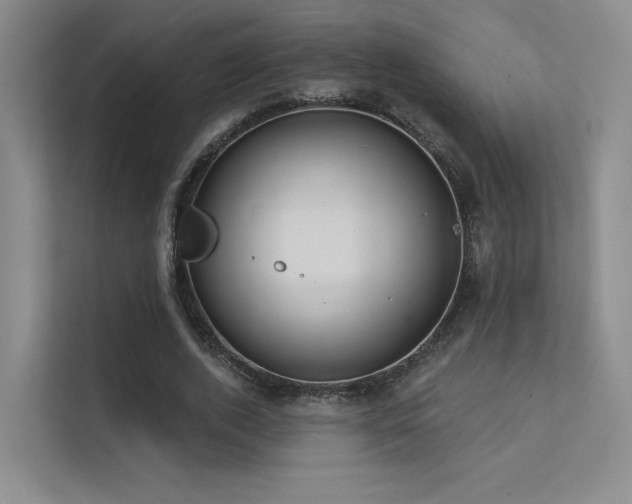 X0000113200728200909101111