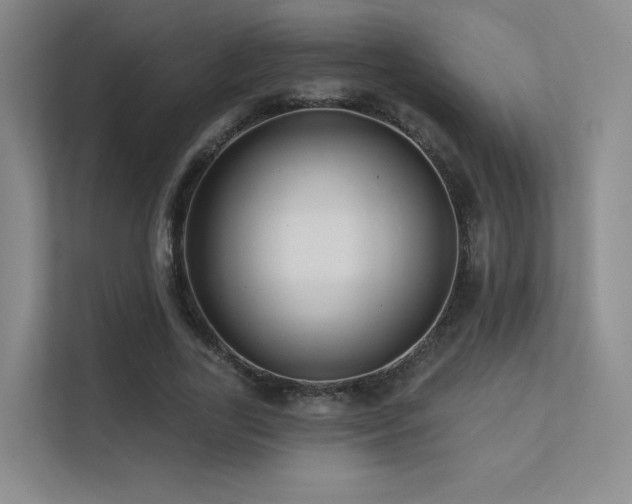 X0000113200731200909101111