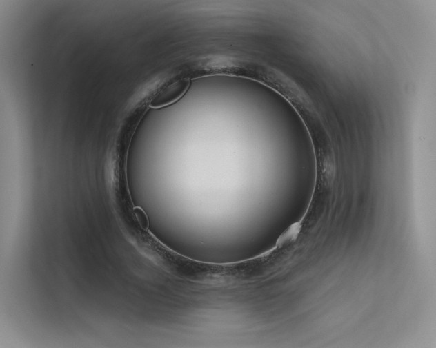 X0000113200732200909101111