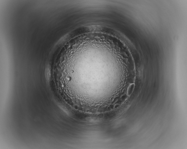 X0000113200733200909101111