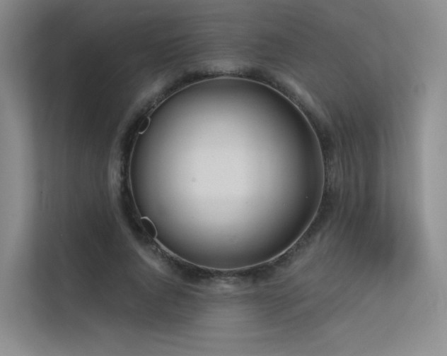 X0000113200736200909101111