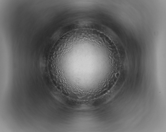 X0000113200737200909101111