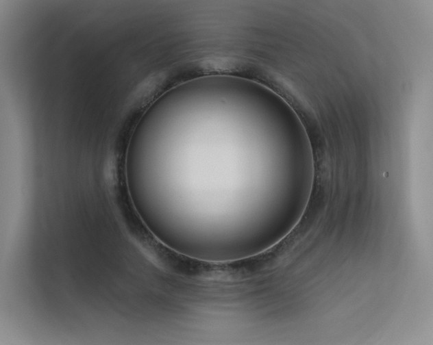 X0000113200738200909101111