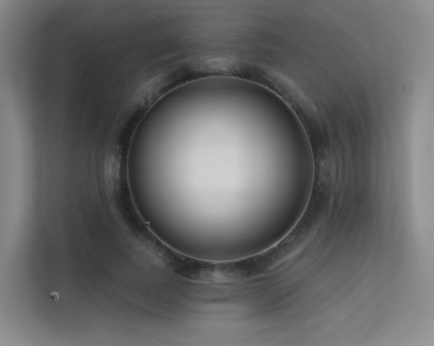 X0000113200739200909101111