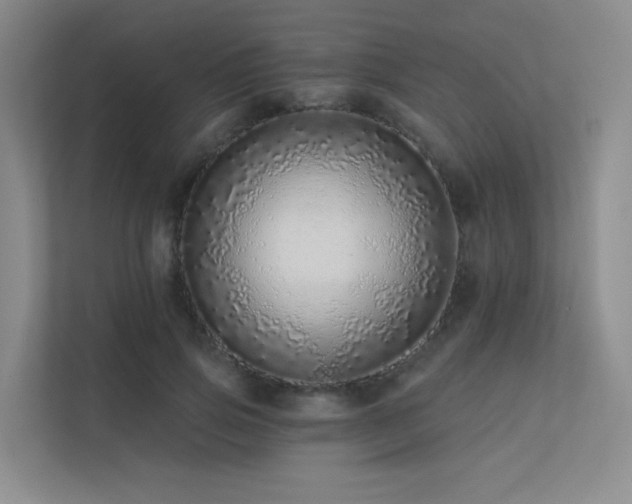 X0000113200741200909101111