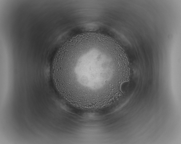 X0000113200745200909101111