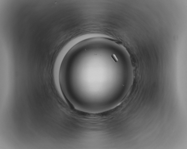 X0000113200746200909101111