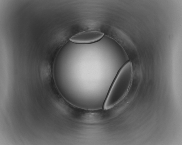 X0000113200748200909101111