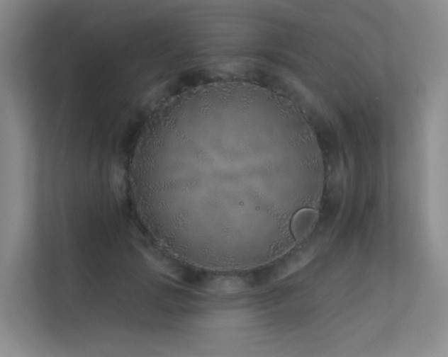 X0000113200749200909101111