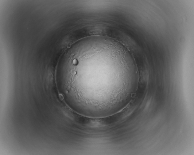 X0000113200753200909101111