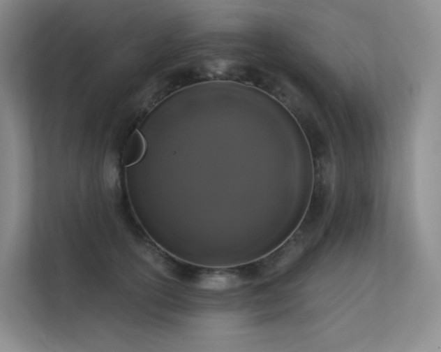 X0000113200754200909101112