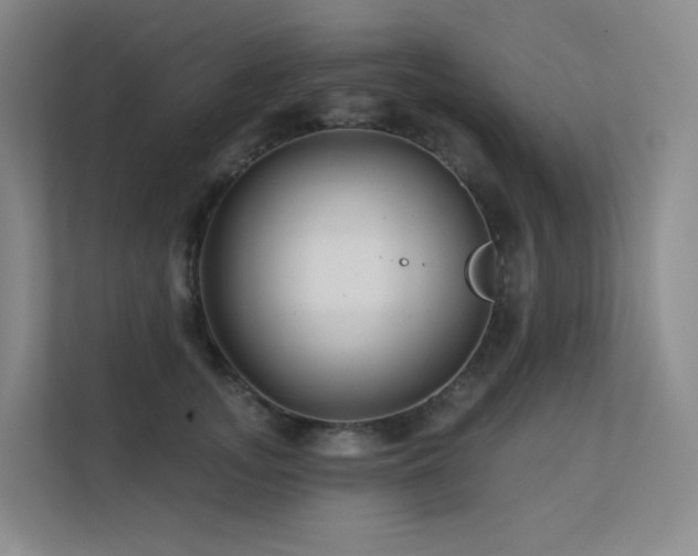 X0000113200755200909101112