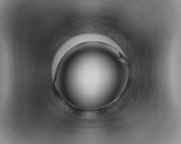 X0000113200756200909101112