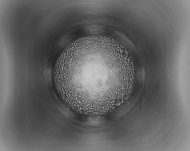 X0000113200757200909101112