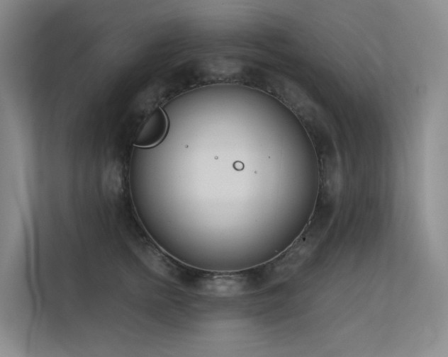 X0000113200758200909101112