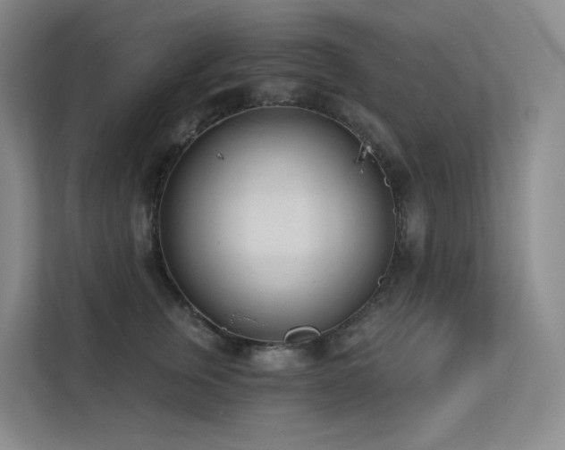 X0000113200759200909101112