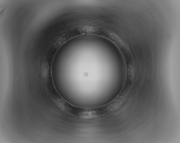 X0000113200760200909101112