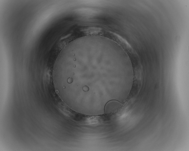 X0000113200761200909101112