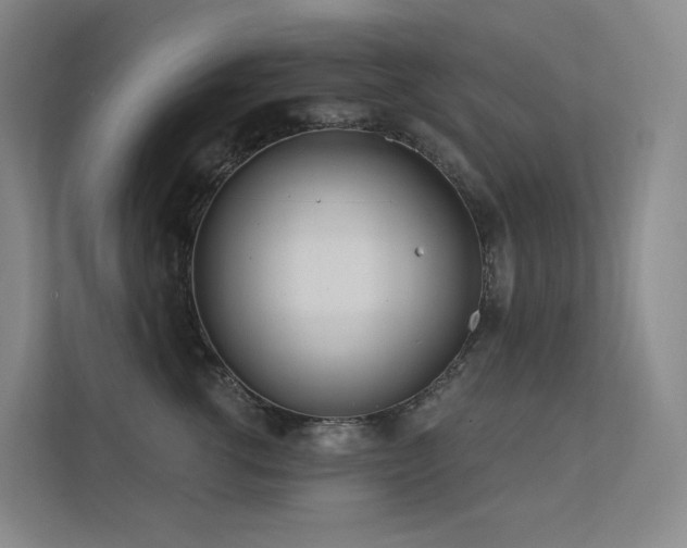 X0000113200762200909101112