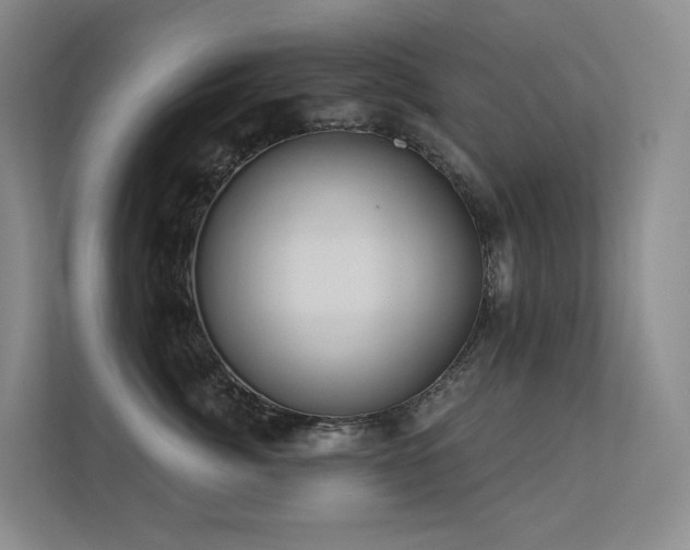 X0000113200764200909101112