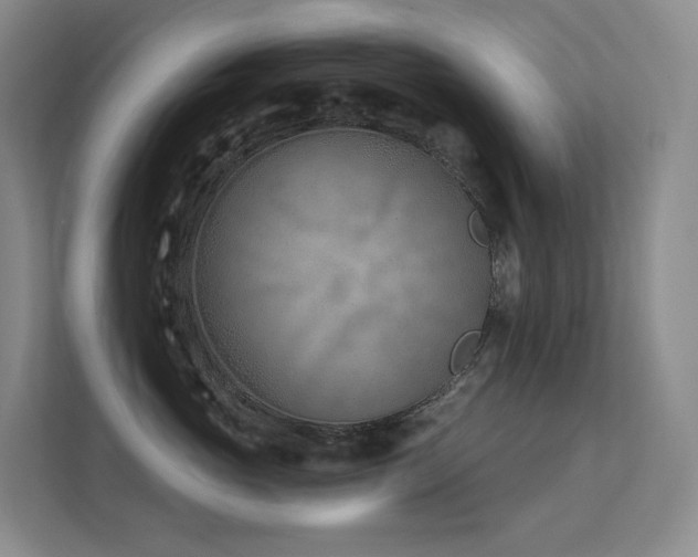 X0000113200765200909101112