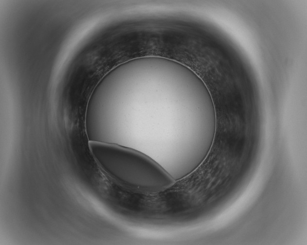 X0000113200766200909101112